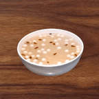 Best Sweet Rice Wine Soup 酒酿珍珠羹 in Pittsburgh, PA